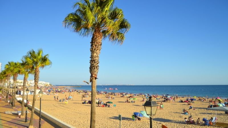 Rota