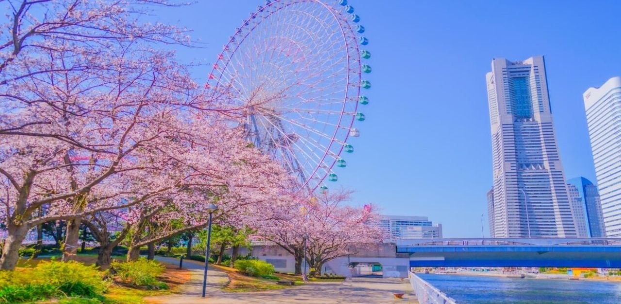 Afric Aviation Yokohama Office in Japan